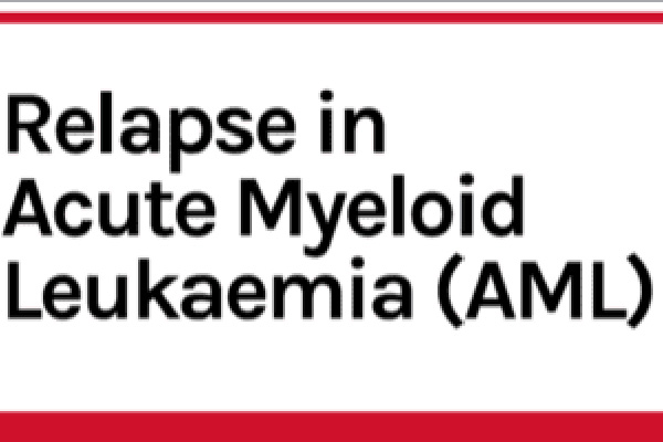 Screenshot of informative brochure AML